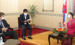 फिनल्यान्डका राजदूतले भेटे राष्ट्रपति