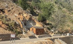 जोखिममा बास !