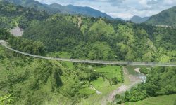 आँधीखोलामा झोलुंगे पुल !