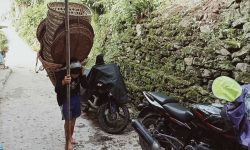 डोको र नाङ्लोको भारी !