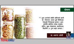 क्‍वाँटी : विशेष आहार !