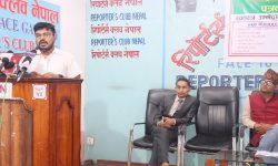 काठमाडौं ७ बाट प्रतिनिधि सभा सदस्यमा अर्यालकाे स्वतन्त्र उम्मेदवारी घोषणा