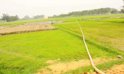 नरैनापुरमा अझै परेन पानी, भएन रोपाइँ