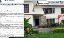 बिमा समितिले थप सात वटा कम्पनीलाई लाइसेन्स दिने