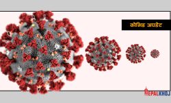चौबीस घण्टामा २०२ संक्रमित, १ जनाको मृत्यु