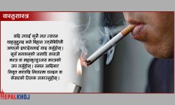 वास्तुशास्त्रअनुसार लतलाई हटाउने उपाय !