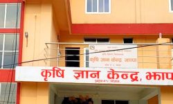 झापामा कृषकलाई चार करोड अनुदान