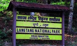 लाङ्टाङ राष्ट्रिय निकुञ्जद्वारा किसानलाई ३६ लाख वितरण