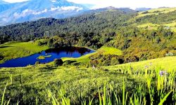 हाँस पोखरी !