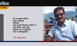 मान्छे बौलाइसकेछ !