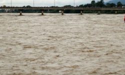 नारायणी नदीले सतर्कता तह पार गर्‍यो