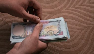 भुक्तानी गर्न झुलाउँदै इन्स्योरेन्स कम्पनी