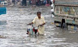 पाकिस्तानमा बाढी : १,१३६ जनाको ज्यान गयो