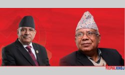 एउटै घोषणा पत्रमा चुनाव लड्न प्रचण्ड-माधव सहमत, पार्टी एकता चुनावपछि