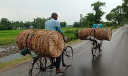 नाङ्लो व्यापारी !