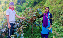 उत्पादन बढाउन कृषकलाई भत्ता