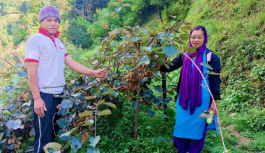 उत्पादन बढाउन कृषकलाई भत्ता