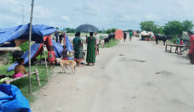 ‘वस्तुभाउ पनि खान नपाएर मर्ने भए’