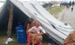 कैलाली बाढी : सडकमा बसेका गर्भवती र सुत्केरी समस्यामा