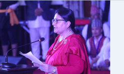 संविधानको रक्षा र पालनामा सबैको इमानदार प्रयास आवश्यक : राष्ट्रपति