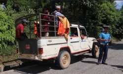 एकै दिन ४३ सवारीसाधन कारबाहीमा