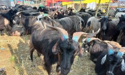 नाका नखुल्दा तिब्बतको च्याङ्ग्रा भित्रिन सकेन