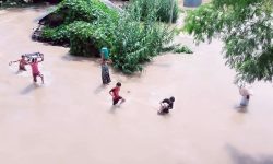 वर्षासँगै आएको बाढीमा परि कैलालीमा एक बेपत्ता, दुई घाइते