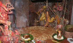 गोरखा दरबारको दसैघरमा बिधिपूर्वक जमरा राखियो