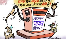 घोचपेच !