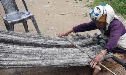 राडीपाखी बुन्दै वृद्धा !