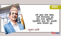 आमाको तिलहरी !