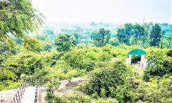 मिर्चैया हिल पार्क !