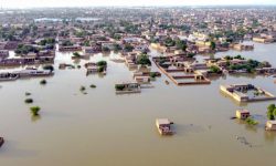 बाढी प्रभावित पाकिस्तानी क्षेत्रमा डेंगुको प्रकोप बढ्दो