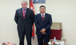 उपराष्ट्रपतिसँग जर्मनीका राजदूतको शिष्टाचार भेट