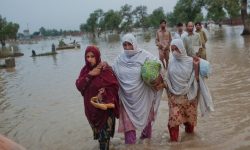 बाढी पहिरोकाे कारण पाकिस्तानमा थप २० जनाको मृत्यु