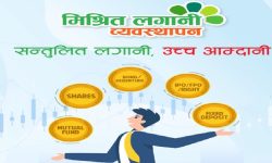 नबिल इन्भेष्टमेन्टद्वारा मिश्रित लगानी व्यवस्थापन सेवा संचालन