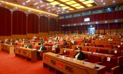 राष्ट्रियसभाका चार समितिमा उम्मेदवारी