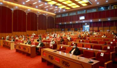 बीमा विधेयक र सार्वजनिक ऋण व्यवस्थापन विधेयक पारित