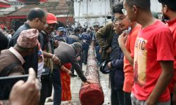 योसिँ लिंगो हनुमानढोका परिसरमा पुर्‍याइँदै (तस्बिरसहित)