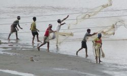 माछा मार्न जाल हान्दै थारु युवा !