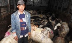 साइपालका च्यांग्रा पोखरामा : ‘पोखरा पुग्दासम्मको दु:ख भनेर सम्भव छैन’