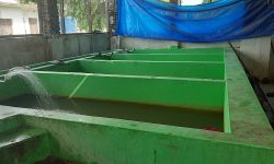 ह्याचरी निर्माण !