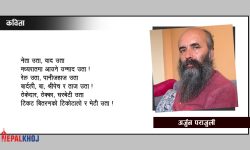 एउटा डोजरचाहिँ यता !