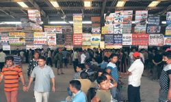 नयाँबसपार्कमा यात्रुको झोला तान्दा…