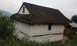 झिँगटीको छाना !