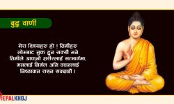 बुद्धका उपदेश !