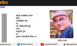 एउटा मधेसी ठिटो