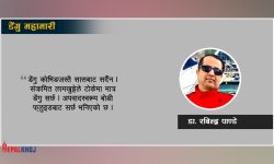 डेंगु सम्बन्धि केही कुरा