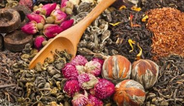 दाङबाट ४३ सय क्विन्टल जडीबुटी निकासी