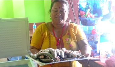 मेलम्ची, इन्द्रावतीमा पाइन थाले माछा